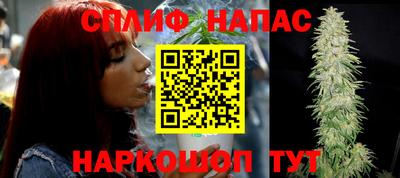 сатива Бузулук