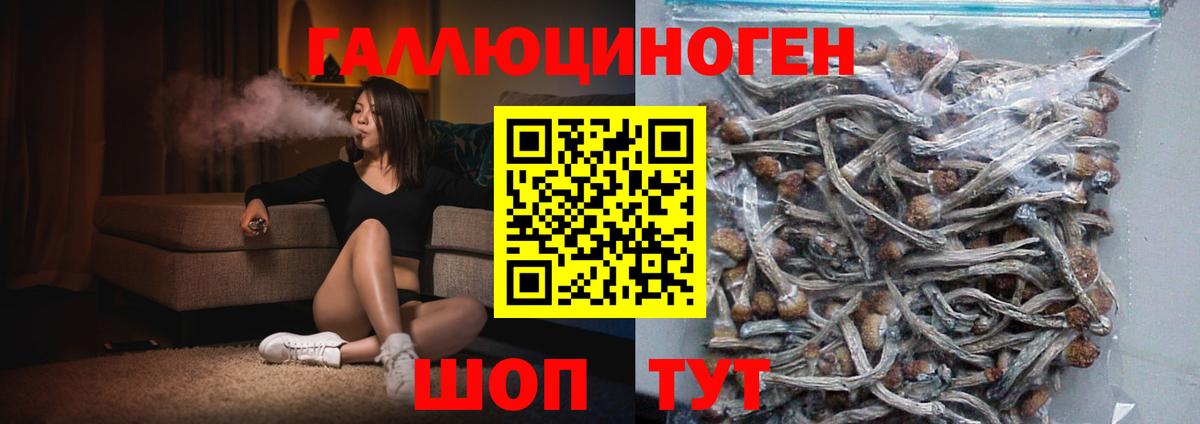 Псилоцибиновые грибы MAGIC MUSHROOMS  Вход с VPN  Томск 